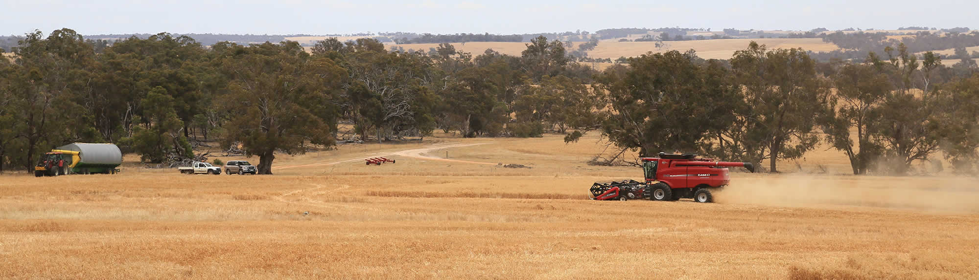 Harvest Kojonup Agricultural Supplies